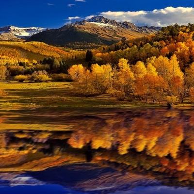 百家家乐APP下载安装